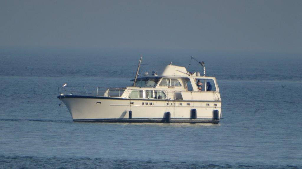 Motorboat Patricia